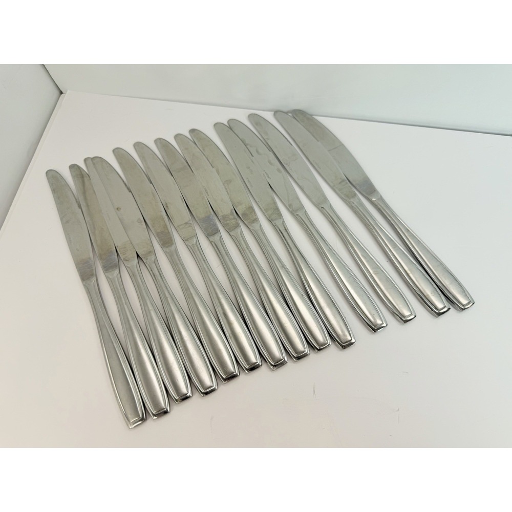 Oneida Satin Bristol Everdale Stainless Dinner Knives Replacements Lot Of 14